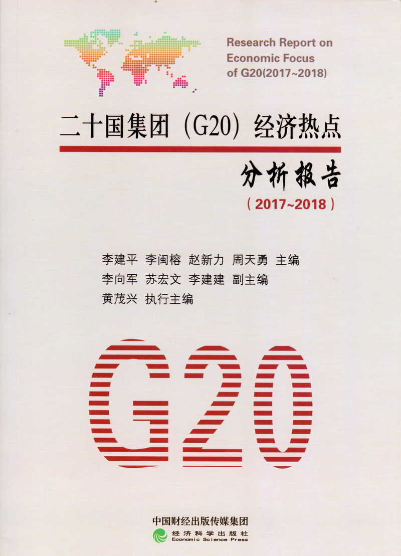 小骚逼被狂操二十国集团（G20）经济热点分析报告（2017-2018）