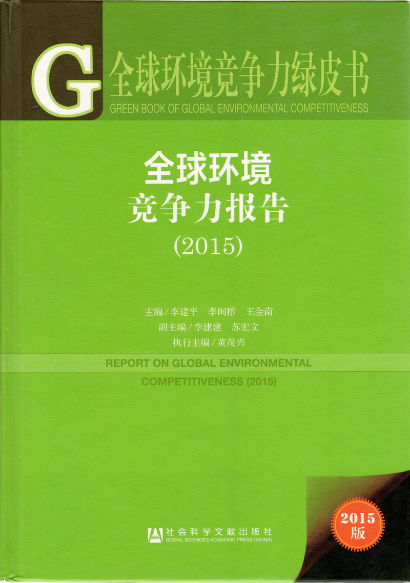 又大又长的鸡巴操死我视频网站全球环境竞争力报告（2017）