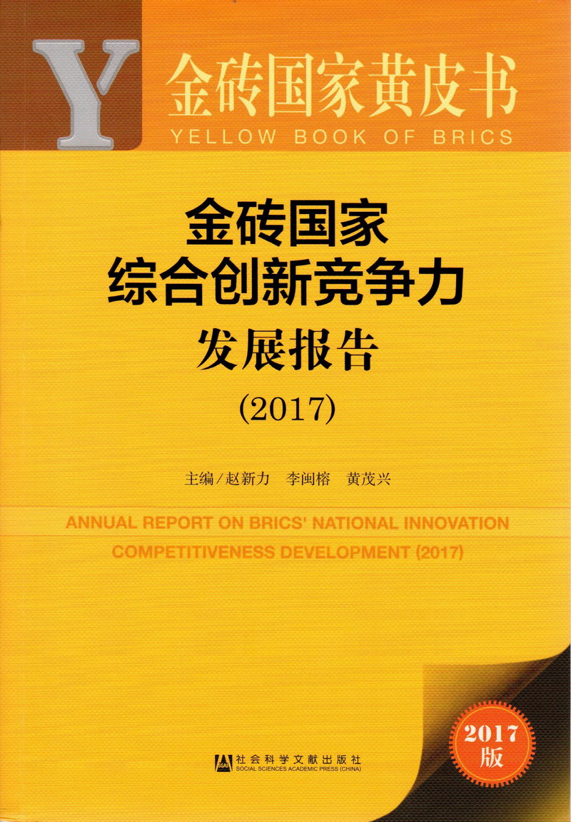 操逼免费小说视频金砖国家综合创新竞争力发展报告（2017）